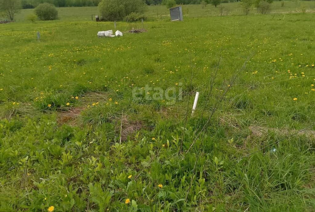 земля р-н Перемышльский д Еловка ул Ягодная сельское поселение Большие Козлы фото 10