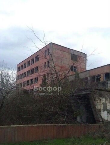 ул Курчатова фото