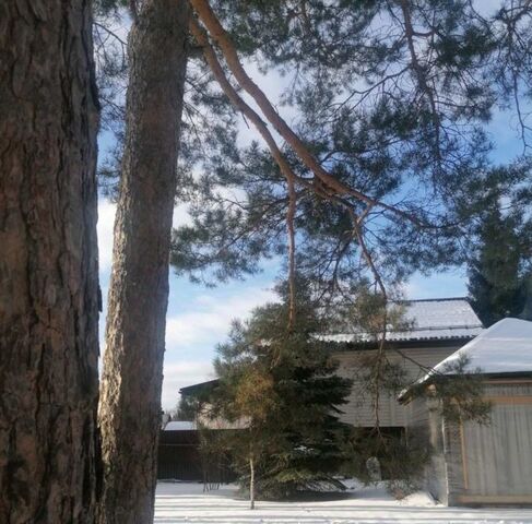 снт Сосенка ул Сосновая 13-я фото