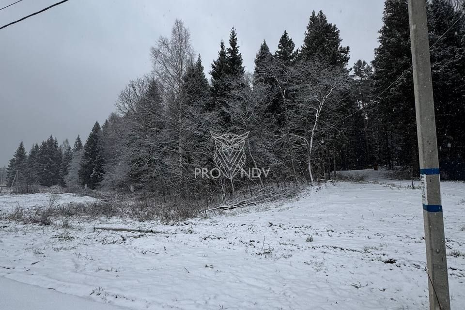 земля городской округ Щёлково д. Воря-Богородское фото 4