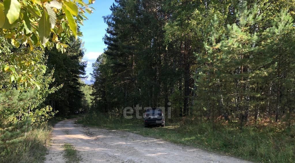 земля р-н Балахтинский с Даурское сельсовет, Приморский фото 4