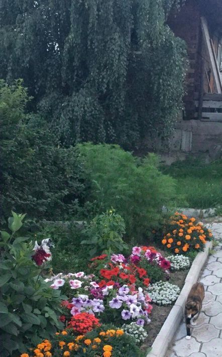 дом г Улан-Удэ мкр Солнечный р-н Железнодорожный ул Кленовая фото 4