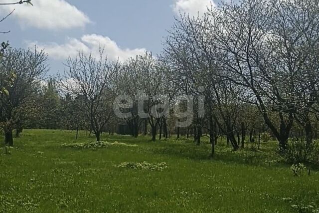 Алексин городской округ, Никулино фото