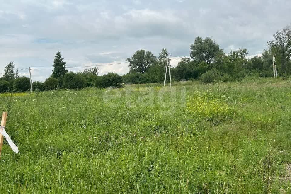 земля р-н Березовский ДНТ Лазурные берега фото 1