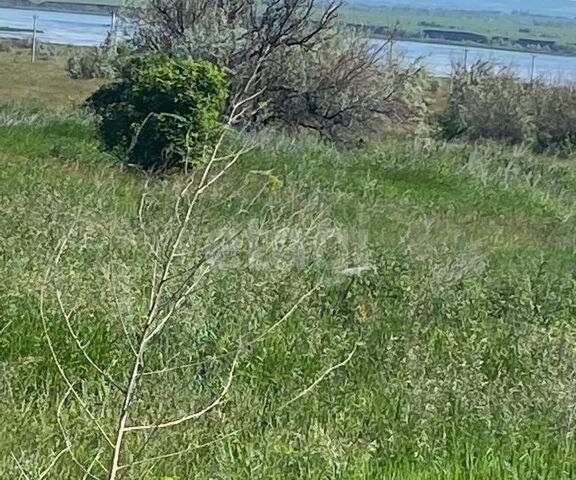 ул Крайняя Саратов городской округ фото