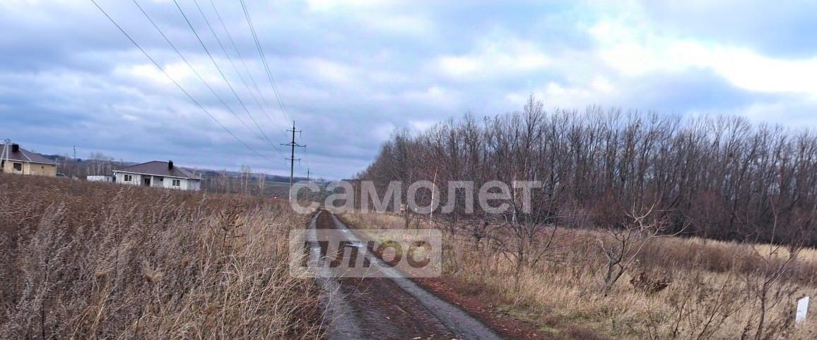 земля р-н Липецкий д Ясная Поляна Частодубравский сельсовет фото 1