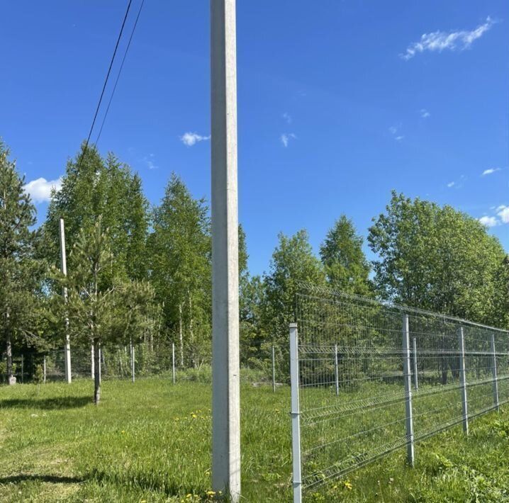 офис р-н Окуловский д Стегново Угловское городское поселение фото 14