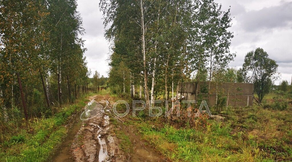 земля р-н Тюменский снт Майское ул Розовая фото 3