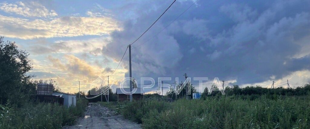 земля г Тюмень р-н Центральный снт Большое Царево-1 ТСН фото 2