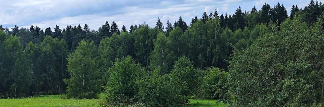 офис городской округ Солнечногорск д Мостки фото 2