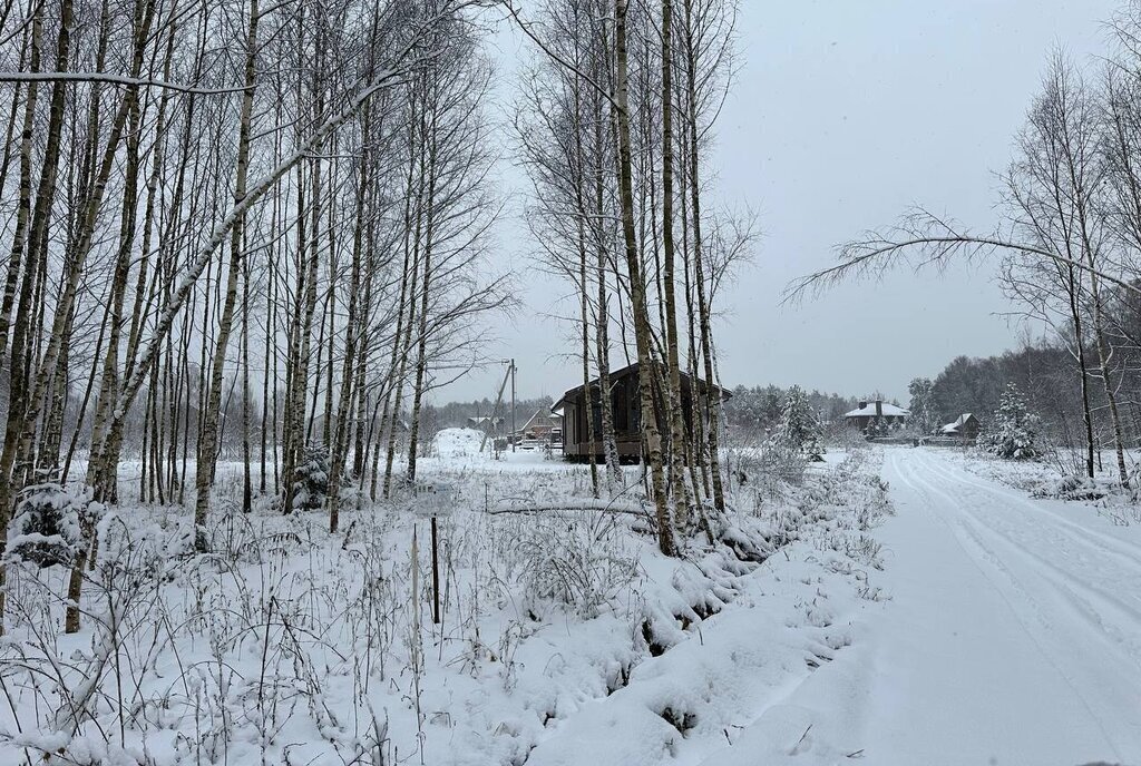 земля городской округ Истра д Сафонтьево днп терСафонтьевские дачи фото 4