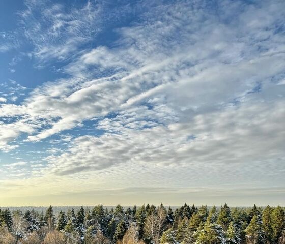 дом 10 Бабушкинская фото