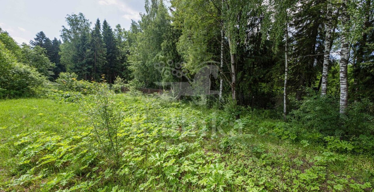 земля городской округ Мытищи д Румянцево ул Центральная 21 км, Марфино, Дмитровское шоссе фото 4