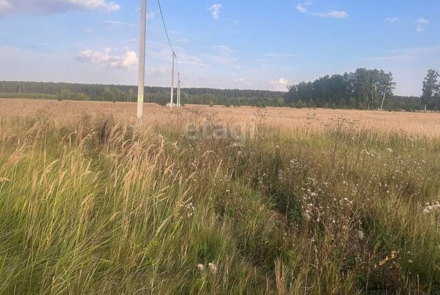 Поспеловское сельское поселение, посёлок Луговой фото