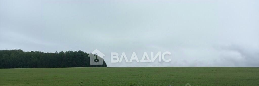 офис г Владимир д Аббакумово ул Новая р-н Октябрьский фото 1