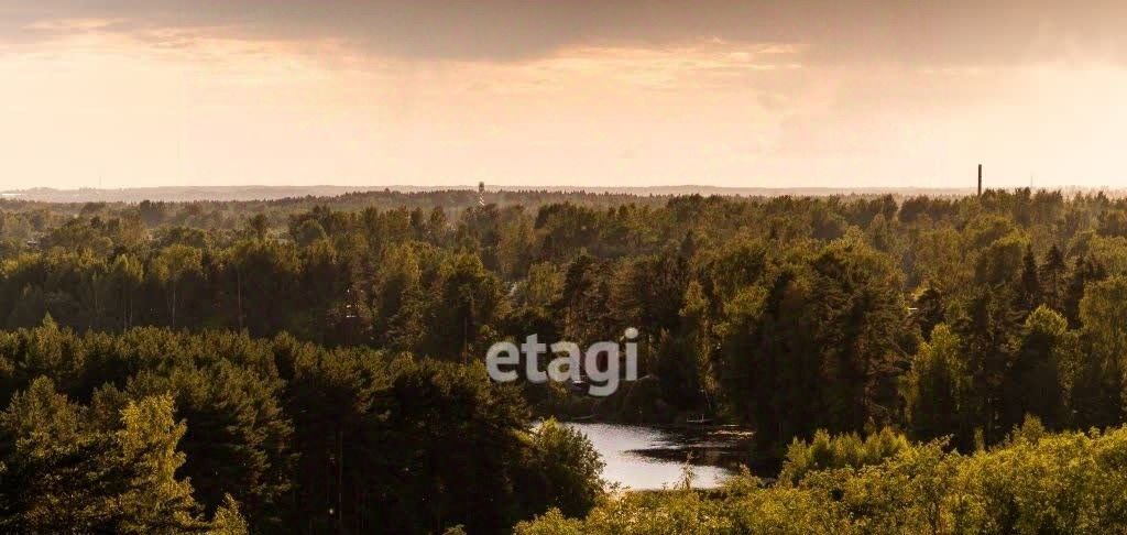 дом р-н Всеволожский Токсовское городское поселение, Токсово городской поселок, Хэппи Ярви клп, Девяткино фото 23