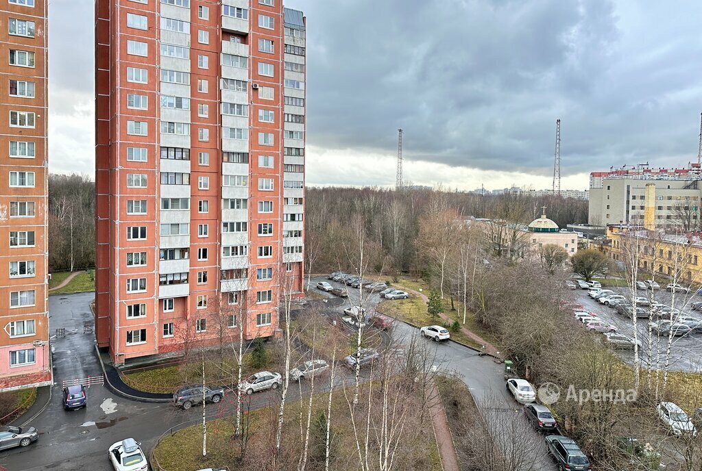 квартира г Санкт-Петербург метро Ломоносовская пр-кт Дальневосточный 69к/1 округ Народный фото 18