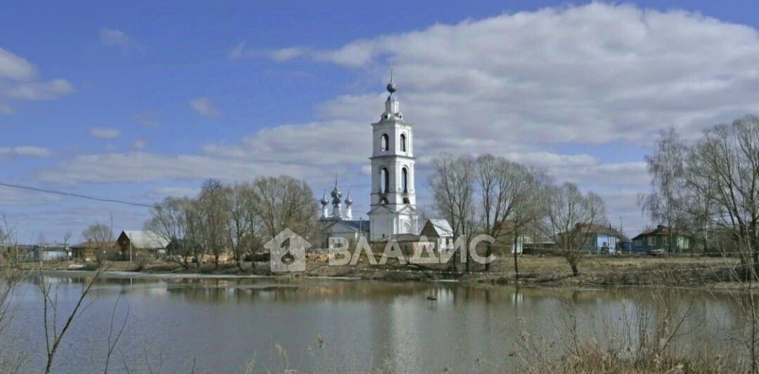 земля р-н Собинский с Бабаево ул Подгорная 10 фото 1