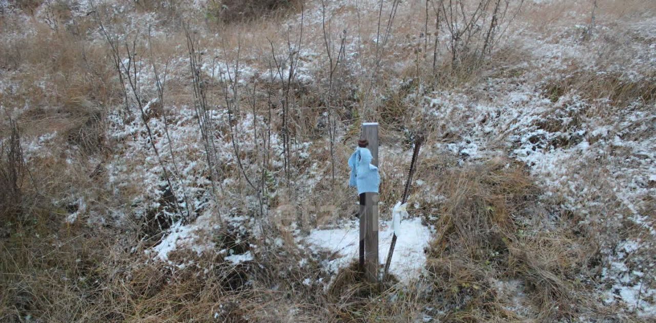 земля р-н Елабужский г Елабуга ул Казанская городское поселение Елабуга фото 9