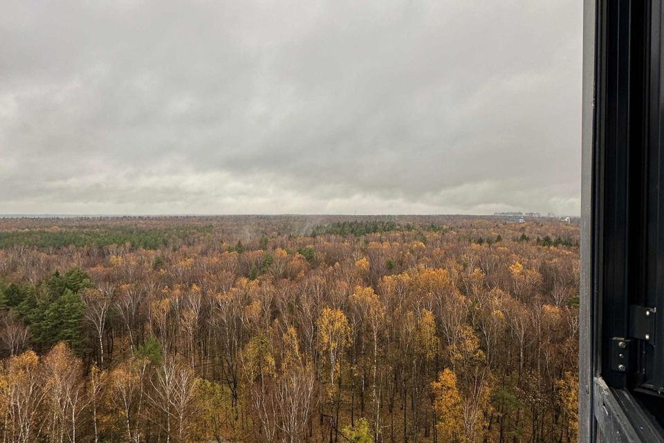 квартира городской округ Мытищи п Нагорное ул Полковника Романова 11 фото 10