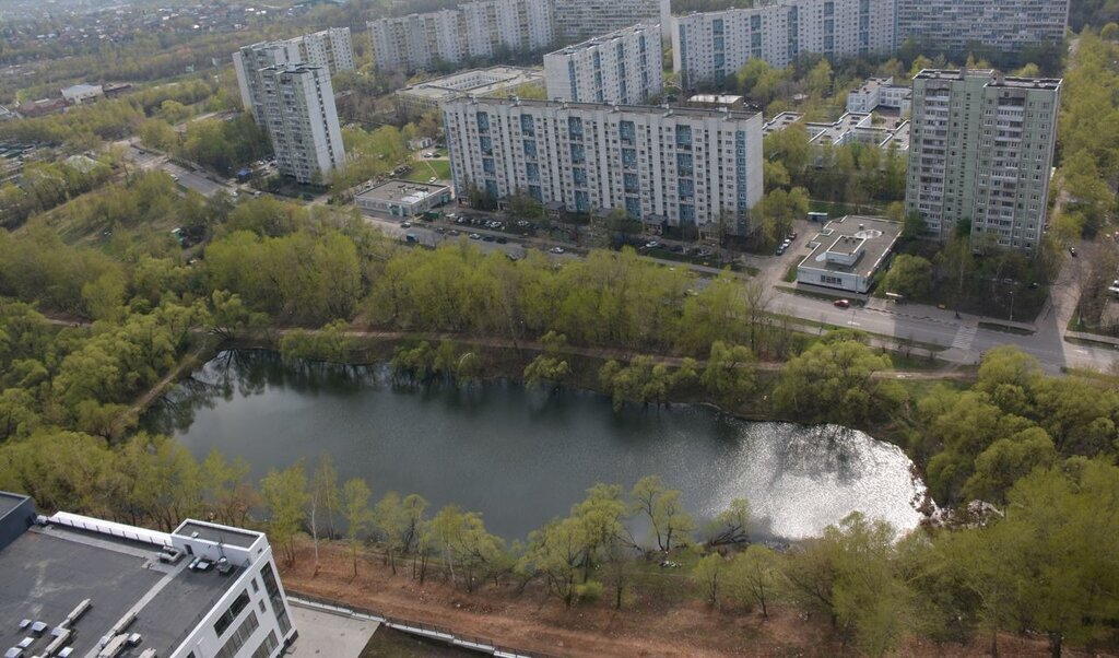 квартира г Москва метро Зябликово ул Михневская 8 ЖК Загорье Московская область фото 3