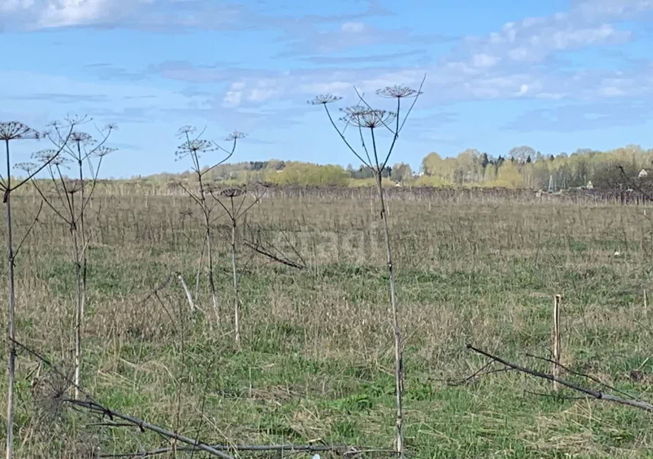 земля р-н Сыктывдинский с Выльгорт муниципальное образование Выльгорт фото 17