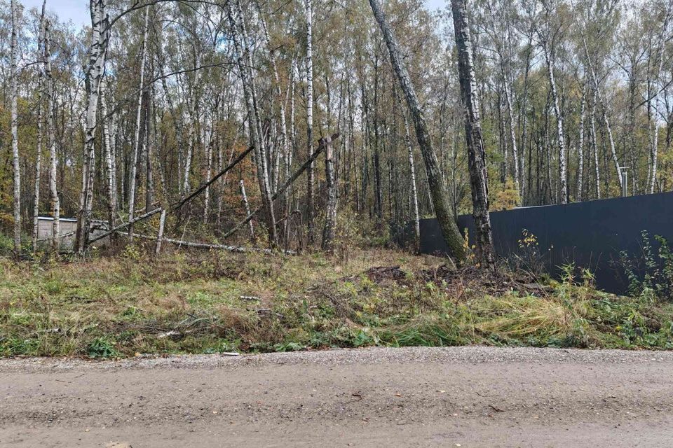 земля городской округ Домодедово д. Степыгино фото 3