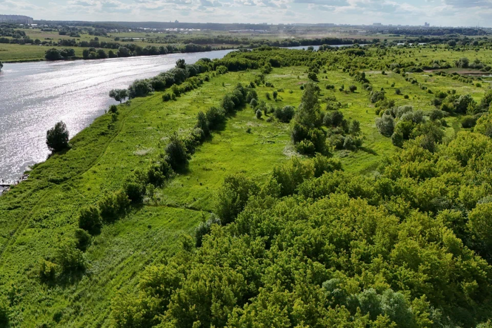 земля г Лыткарино Лыткарино городской округ, Хозяйственный корпус фото 6