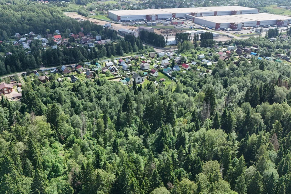 земля городской округ Солнечногорск д. Хоругвино фото 9