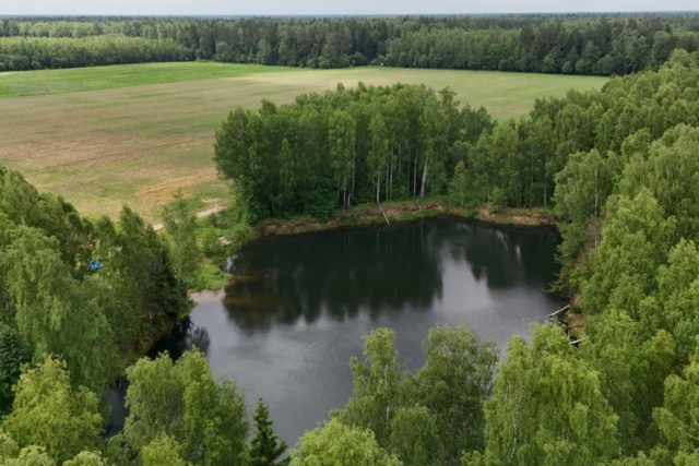 Черноголовка городской округ, деревня Старки фото