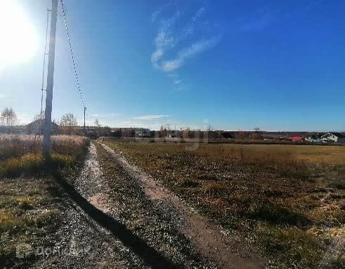 земля Коломна городской округ, д. Борисовское фото 3