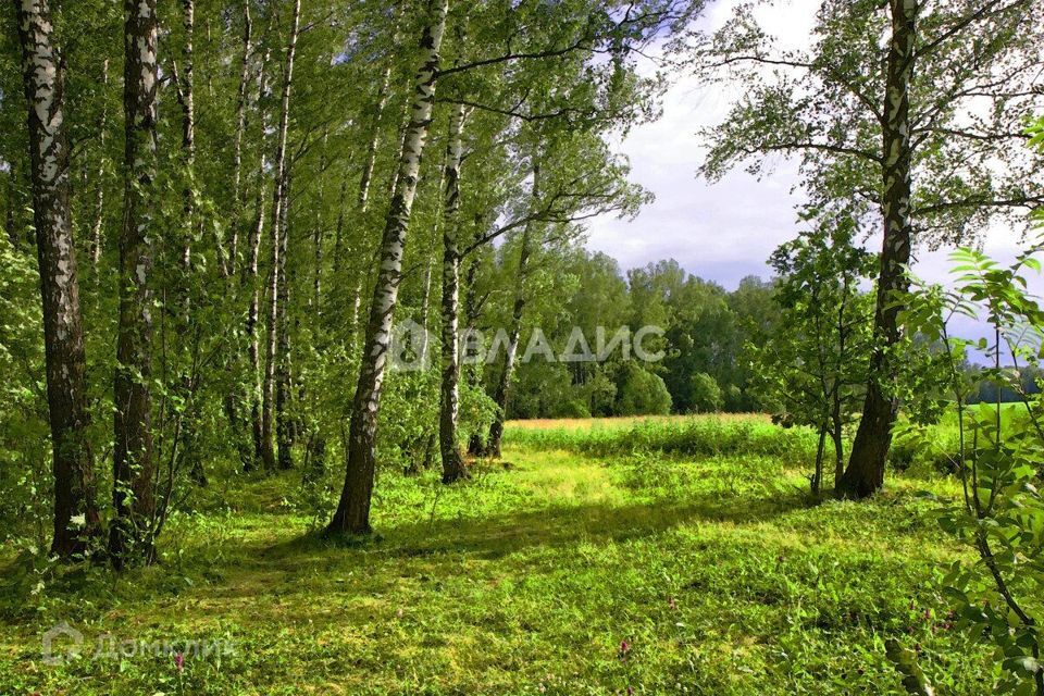 земля городской округ Дмитровский д Матвейково 50 фото 5