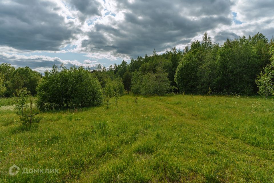 земля р-н Всеволожский фото 9