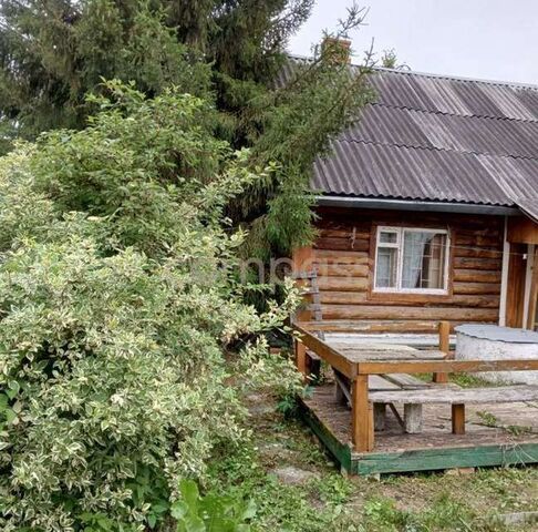 Тюмень городской округ, СНТ Янтарь фото