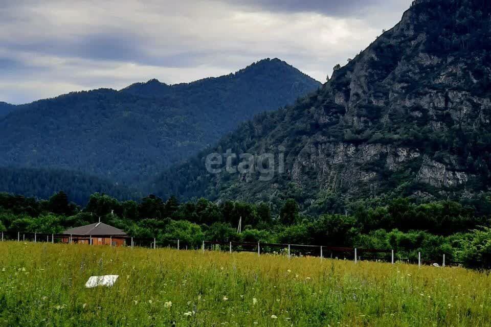 земля р-н Чемальский Аюла фото 4