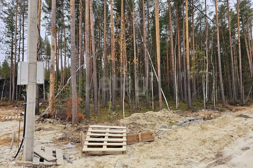 земля г Ханты-Мансийск снт Маяк Сургут городской округ, Аничковская улица, 10 фото 5