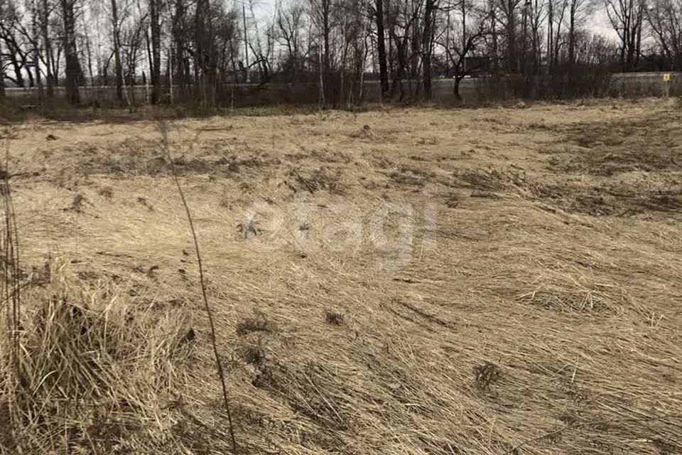 земля р-н Брянский с Отрадное ул Рамашин Луг фото 6