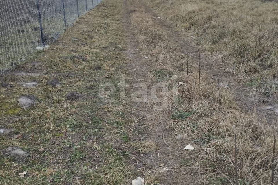 земля р-н Брянский с Глинищево ул А.В.Лебедевой фото 8