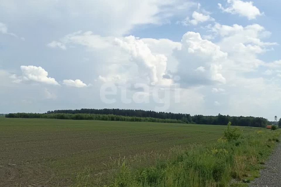 земля р-н Брянский Октябрьское фото 8