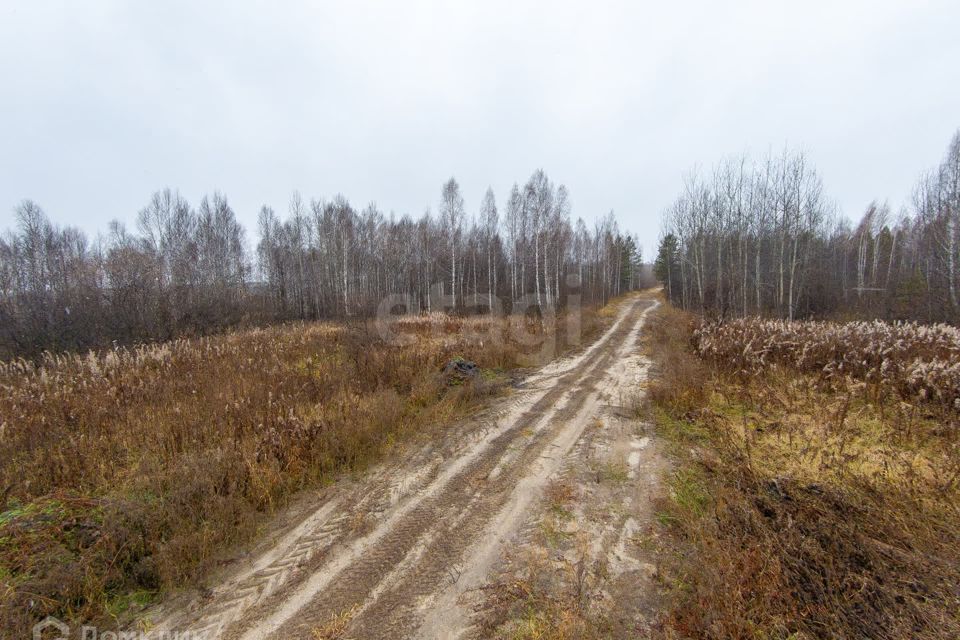 земля р-н Нижнетавдинский снт Сундукульский разрез фото 8