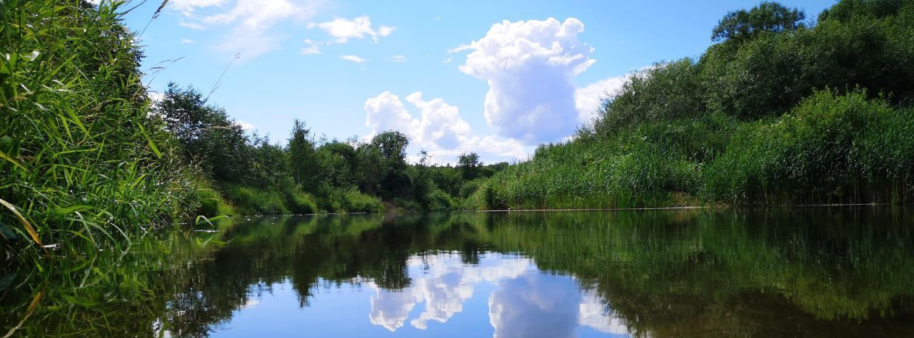 земля р-н Конаковский д Терехово фото 1