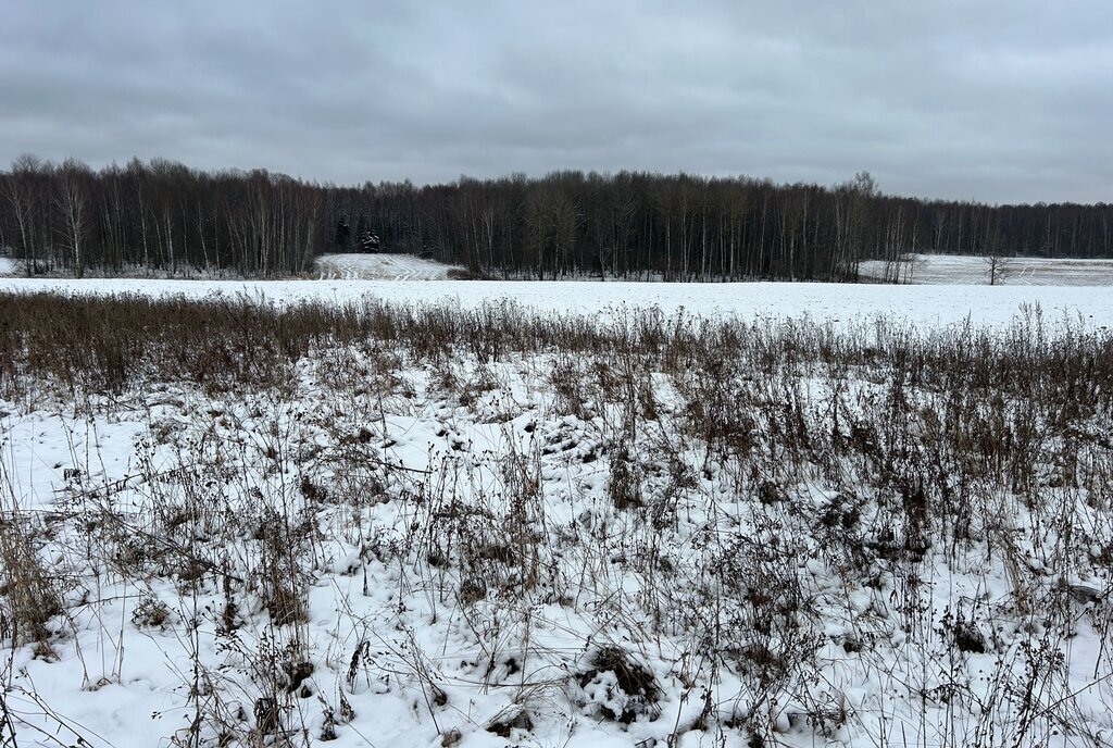 земля р-н Александровский д Данилково муниципальное образование Каринское, Лизуновский сельский округ, улица Комарова фото 15