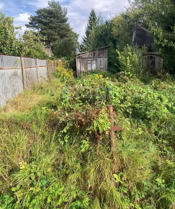 земля р-н Приозерский снт Светлана Морозовское городское поселение фото 3