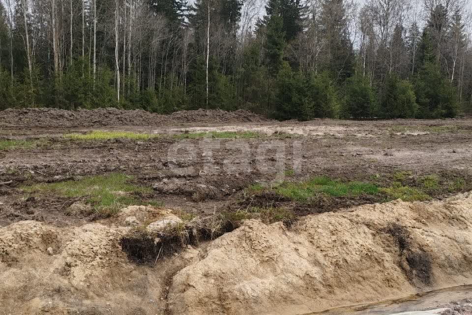 земля р-н Всеволожский Ойнелово фото 1