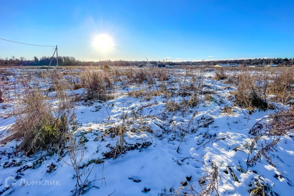 земля р-н Ломоносовский фото 8