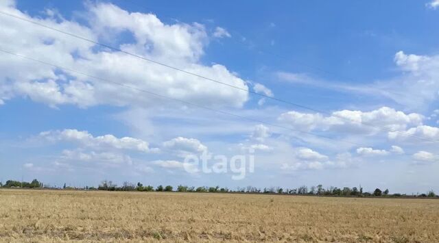 ул Красная фото