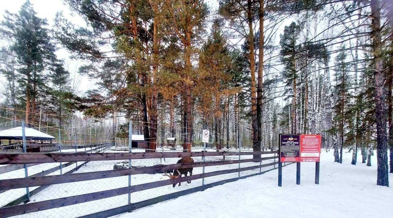 земля р-н Новосибирский Кубовинский сельсовет, Лаки Парк кп, ул. Фамильная фото 8