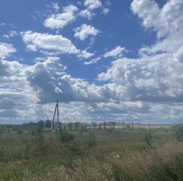 земля р-н Починковский д Прудки ул Школьная фото 3