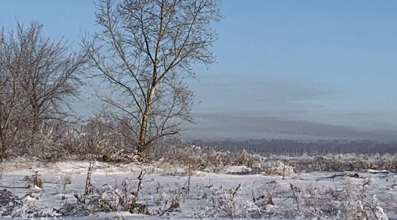 земля р-н Павловский с Шахи фото 1