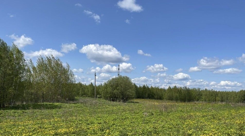 офис городской округ Солнечногорск д Есипово фото 3